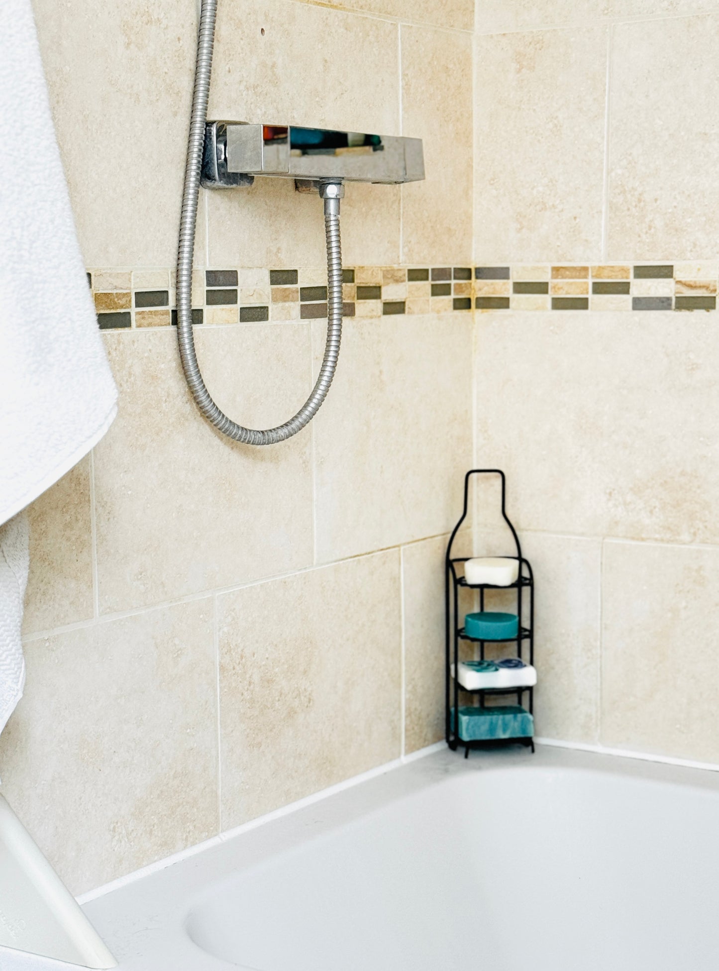 Bathroom/Shower Caddy